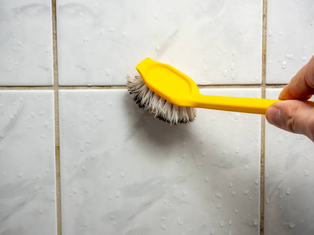 Best Toxic Mold Removal  in Coldstream, KY
