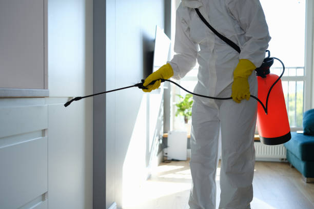 Best Local Mold Removal Service  in Coldstream, KY