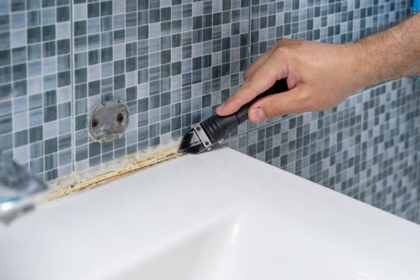 Best Certified Mold Removal  in Coldstream, KY